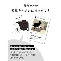 シービージャパン レザー調爪とぎ TOGITOGI エル hachi 391701 1個（直送品）