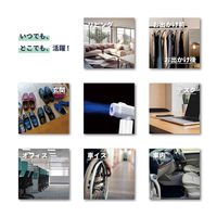 東京ミモレ ザ・除菌バスター サイプレス消毒セット 9500799 1セット（直送品）