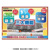 藤原産業 SK11 除湿消臭インソール SNIーDRY24ー29 1個（直送品）