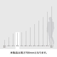 【軒先渡し】エレクター　ベーシックシリーズ　ポール　高さ700mm ホワイト B28PW2　1組2本（直送品）