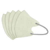 カワイイ女の贅沢マスク Style×Color 立体マスク（ピスタチオ×グレー）1セット（30枚×4箱）バイカラーマスク