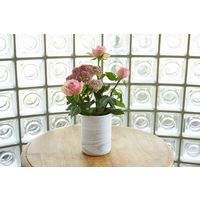 アール はがせる 壁紙 デコアップ リメイクシート ホワイトアッシュ 275338 1個（直送品）