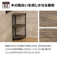 エイ・アイ・エス バルネ コーナーラック ブラウン BRN-10CR BR 1台