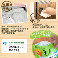 ナチュラルクリーニング 激落ちくん セスキ炭酸ソーダ 粉末タイプ 1kg 1セット（3個） レック