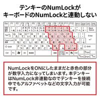 サンワサプライ 抗菌テンキー NT-25UBK 1個（直送品）