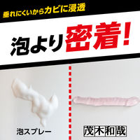 茂木和哉 カビとりジェル ゴムパッキン・タイル目地用 200g 1セット（2個） レック