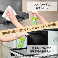 ナチュラルクリーニング 激落ちくん セスキスプレー 詰め替え 500mL 1セット（3個） レック