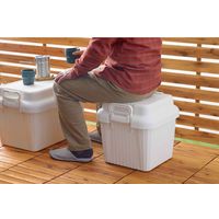 SANKA 収納ボックス 座れる 幅59×奥行39×高さ38cm ベリアスボード M 日本製 ホワイト 302292 1個（直送品）