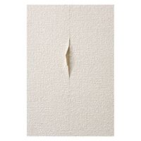 コジット クロスのはがれ補修セット クロス 壁 補修 366879 1個