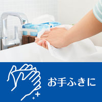 エリエール プラスキレイ ハンドタオル 200組 大王製紙　ペーパータオル　ダブル　パルプ 1個