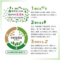 ティッシュペーパー 200組（5箱入）ネピeco ティシュ 王子ネピア　1ケース(60箱:5箱入×12パック)