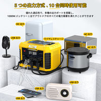 ポータブル電源 蓄電池 933Wh容量 定格1000W出力 ADVANCE1000 1台 TogoPower