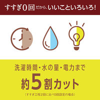 アクロンやさしさプレミアム グリーンシトラスの香り 詰め替え 650mL 1個 洗濯洗剤 ライオン