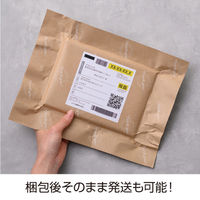 ヒサゴ ピタッとペーパー　サンキュ KP001 2冊（直送品）