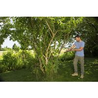 GARDENA 枝切り剪定ばさみ 繁茂した茂みや低木を間引く バイパス型 SlimCut 12010-20 1台