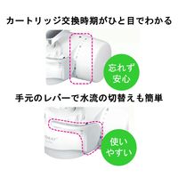 東レ トレビーノ 浄水器 蛇口 直結型 (30％節水) カートリッジ2個入 日本製 スリム SX705T-TSET スーパーシリーズ