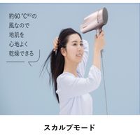 パナソニック（Panasonic） ヘアードライヤー ナノケア ゴールド EH-NA9G-N 1台