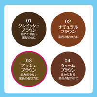 スタイリングライフ・ホールディングス　BCL カンパニー ブロウラッシュEX　ウルトラスキニーペンシルブロウ03 　 １セット(９６本)（直送品）