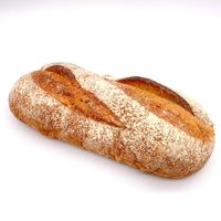 タカキベーカリー 業務用　TF石窯ライ麦ブレッドRN 256444 1ケース　約458g×4本　冷凍（直送品）