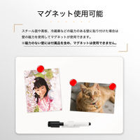 アスカ 抗菌ホワイトボードシート 250×350mm S AWM14 1セット(2枚)