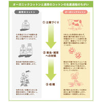 林 フェイスタオル オーガニックコットン 2枚セット アイボリー FL605613 1セット(2枚入)