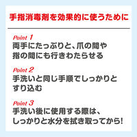 ハンドラボ 手指消毒 ハンドジェルVS 300mL サラヤ