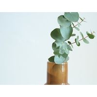 ホワイエ DGボトルベースφ7.5(5.5)xH18(5) ホワイトブラウン 2C00039WHB 1個（直送品）