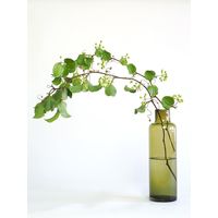 ホワイエ DGボトルベースφ11(6)xH36(5) フォレストグリーン 2C00040FGR 1個（直送品）