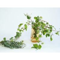 ホワイエ DGティアドロップベースφ15xH26 アンバー 2C00045AM 1個（直送品）