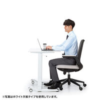 【アウトレット】サンワサプライ ガス昇降デスク 幅900×奥行600×高さ683～1070mm 薄い木目×ホワイト ERD-G9060LM 1台（直送品）