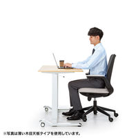 サンワサプライ ガス昇降デスク 幅1200×奥行600×高さ683～1070mm ホワイト×ホワイト ERD-G12060W 1台（直送品）