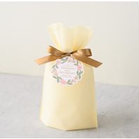 ヘッズ 2重不織布リボン付バッグ-XS/クリーム DFC-RBXS 1組(20枚)