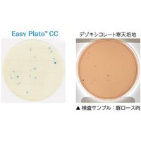 キッコーマンバイオケミファ EasyPlate 大腸菌群数測定用(25枚/袋×4袋入)CC 61974 1箱(100枚) 4-5420-02（直送品）