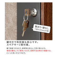 住まいスタイル ベル 木目調壁掛けポスト 幅335×奥行136×高さ418mm ダークブラウン PST-002DBR 1台（直送品）