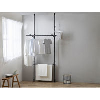 アイリスオーヤマ つっぱり物干し 2本タイプ ブラック TPM-2 1台