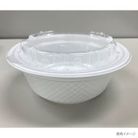 どんぶり容器　TNパイン17浅 無地本体　600枚(50枚×12) 0250617020155　シーピー化成（直送品）
