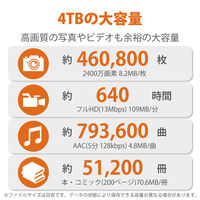 SSD 外付け 4TB ポータブル 5年保証 Rugged SSD 耐衝撃 IP67 STHR4000800 LaCie 1個（直送品）