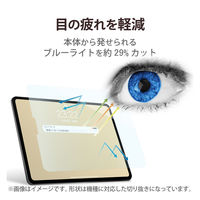 iPad 10.9inch(第10世代)/保護フィルム/ガラスライク/高透明/薄型/9H/ブルーライトカット TB-A22RFLGLBL