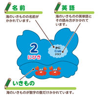 アーテック 海のいきものえあわせカードゲーム 7197 1セット(1個×5)