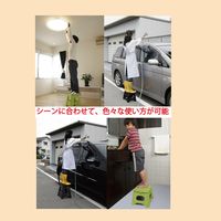 踏み台 セノビー 高さ22ｃｍ 天板29ｃｍ ブラック 251787 1個 トレードワン