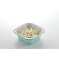 リッチェル ザル バット ザルバットン 大盛 シェリー プラスチック製 抗菌加工 ミントブルー 295832 1個（直送品）