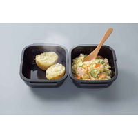 岩谷マテリアル グルラボプラス マルチセット 電子レンジ 調理器具 オーブン対応 日本製 380704 1個（直送品）