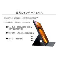 ジャパンネクスト 13.3インチ ワイドモバイルディスプレイ JN-MD-IPS1331FHDR 1個（直送品）