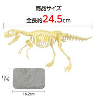 アーテック 化石発掘キット ティラノサウルス 9472 1セット（直送品）