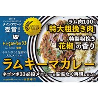 ラムキーマカレー 中辛 ネゴンボ33監修 化学調味料・保存料・小麦粉不使用 1セット（3箱） 36チャンバーズオブスパイス