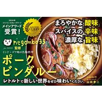 ポークビンダルー 辛口 ネゴンボ33監修 化学調味料・保存料・小麦粉不使用 1セット（3箱） 36チャンバーズオブスパイス