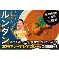 チキンルンダン 馬来風光美食監修 骨付きチキン入 化学調味料小麦粉不使用 1セット（3箱） 36チャンバーズオブスパイス レトルト