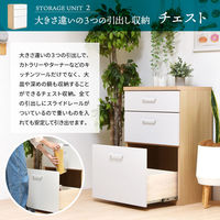 B.Bファニシング AFFOGATO 2段+幅60 開き戸 チェスト 幅1200mm AFCH0101CNCHC 1台（直送品）