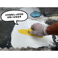 家庭化学工業 家庭化学 セメント 1.3kg ホワイト 4905488132150 1袋