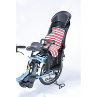 川住製作所 川住 KW-106RC リアチャイルドクッションBKRボーダー 4986012204192 1枚（直送品）